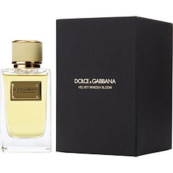 Dolce & Gabbana Velvet Mimosa Bloom Eau De Parfum Spray 5 oz