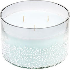 Woodland Bluebell Scented Vale Soy Wax Blend Candle - 28 oz. Burns Approx. 80 Hrs.