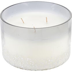 Balsam & Birch Scented Vale Soy Wax Blend Candle - 28 oz. Burns Approx. 80 Hrs.