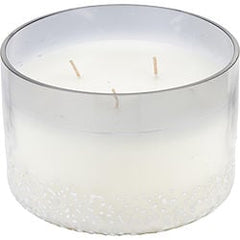 Balsam & Birch Scented Vale Soy Wax Blend Candle - 28 oz. Burns Approx. 80 Hrs.