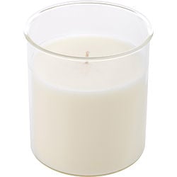 Sparkling Champagne Esque Candle Insert 9 oz