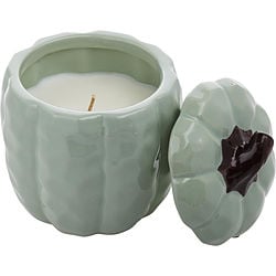 Harvest Spice Ceramic Pumpkin Candle 11 oz